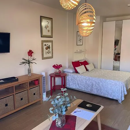 Acogedor Y Centrico - Plaza Del Charco Apartment *